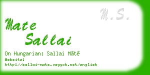mate sallai business card