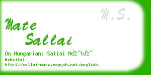 mate sallai business card